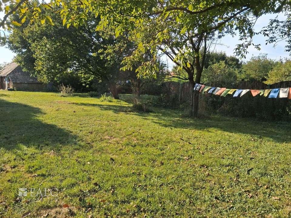 b7a2d70f-194e-4c30-9069-a5aa9df50dfd (1)